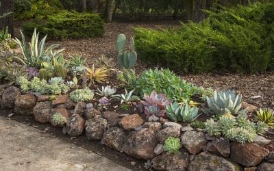 5 Ways to Lower Your Water Bill During the Summer