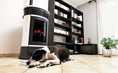 Simple Home Cleaning Tips for Pet Owners